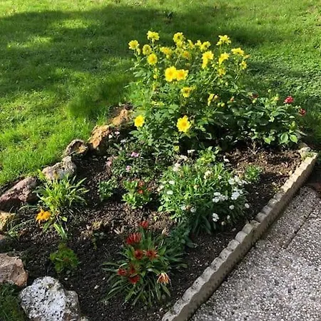 L'oasis Champenois - Terrace, Garden, Wifi Appartamento *