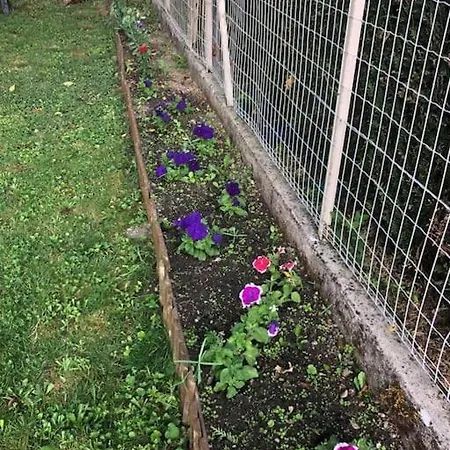 L'oasis Champenois - Terrace, Garden, Wifi Appartamento *