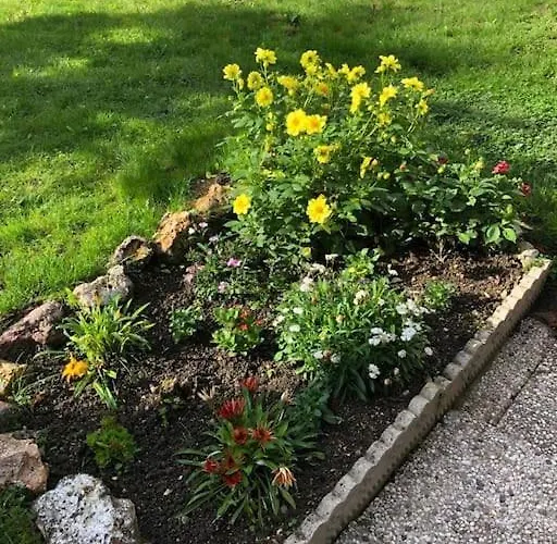 L'oasis Champenois - Terrace, Garden, Wifi Apartment *