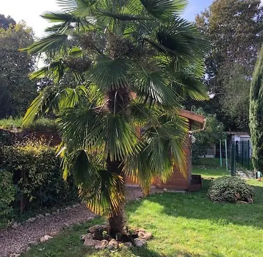 L'oasis Champenois - Terrace, Garden, Wifi Apartment